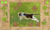 Cats Jigsaw Puzzles Game Screen Shot 2