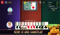 Gin Rummy Screen Shot 1