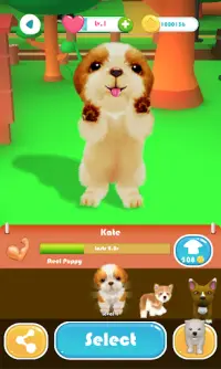 Dog Run Screen Shot 2