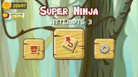 Super Ninja Boss Fighter Screen Shot 4
