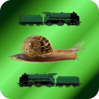 1 Snail 2 Trains