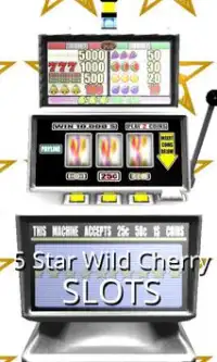 3D 5 Star Wild Cherry Slots Screen Shot 0