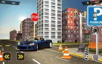 Stickman Car Drive and Parking Simulator Screen Shot 0