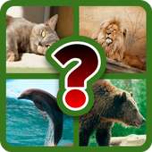Animal Quiz - Guess the Animal