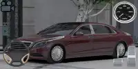 Benz S600 Driving Simulator Screen Shot 1