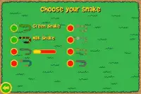 Garden Snake 2: Fun puzzle Screen Shot 2