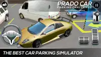 Prado Car Parking Challenge Screen Shot 0