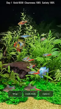 Tropical Fish Tank - Mini Aqua Screen Shot 2