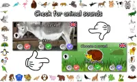 Animal Sounds Screen Shot 3