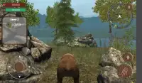 Angry Real Wild Bear Simulator Screen Shot 7