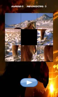 Horses Puzzle, find out which one is hidden. Screen Shot 0