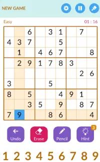 Master Sudoku Deluxe Screen Shot 4