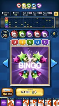 Bingo Usta Kral Screen Shot 1