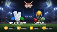 Lockdown Cricket Screen Shot 1