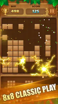 Block Puzzle Wood: Pirate 2020 Screen Shot 2