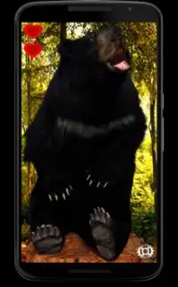 The Happy Bear Screen Shot 1