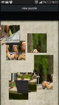 Puzzle birds Screen Shot 1