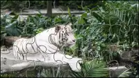 Biały Tygrys Puzzle Gry Screen Shot 5