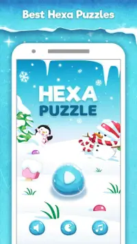 Hexa Puzzle HD - Hexagon Match Game of Color Block Screen Shot 3