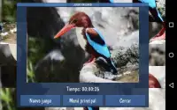 Rompecabezas · Pájaros Screen Shot 6