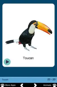 Tropical Animals for Toddlers Screen Shot 3