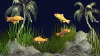 Fish Sim for Cats Screen Shot 1