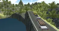 Truck Driver Simulator 2017 - Cargo Delivery Screen Shot 2