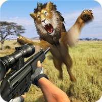 Simulatore di caccia Safari