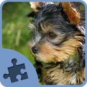 Puppy Dog Jigsaw Puzzle Free