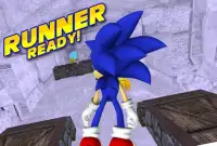 3D Super Hedgehog Run Screen Shot 0