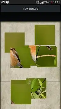 Puzzle birds Screen Shot 2