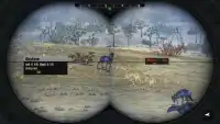 Sniper Hunting Screen Shot 0