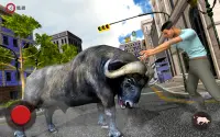 Angry Bull Racing Simulation Game 2021 Screen Shot 2