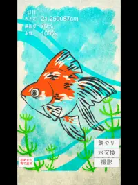 癒しの金魚育成ゲーム Screen Shot 8