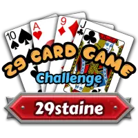 29 Card Game Challenge Screen Shot 2