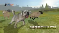 Sheepdog Simulator Screen Shot 0
