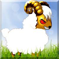 Sheep fighting online