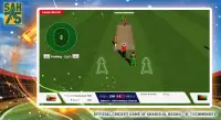 SAH75 Cricket Championship Screen Shot 2