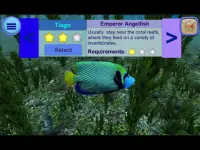 Sea Creatures (Simulator) Screen Shot 0