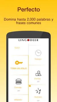 LingoDeer - Aprender Idiomas Screen Shot 7