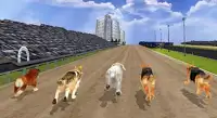 Angry Dogs Racing 2019 Screen Shot 0