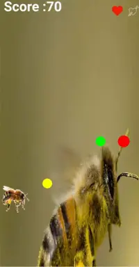 Bee Flying Screen Shot 3