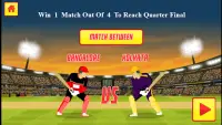 INDIAN PRO LEAGUE (IPL)  CRICKET GAME 2021 Screen Shot 1