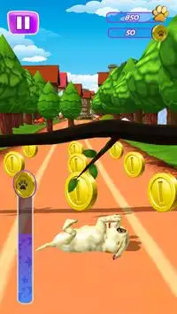 Cachorro Corre - Animal Cachorro jogos Simulador Screen Shot 4