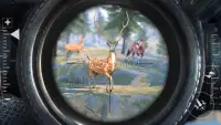 Deer Hunting Gun Games ออฟไลน์ Screen Shot 5