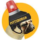 Pittsburgh Hockey Photo Editor