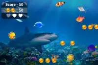 3D Angry Shark Screen Shot 4