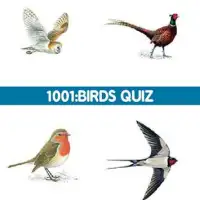 1001: Birds Quiz Screen Shot 0