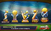 World of Cricket :Championship Screen Shot 2