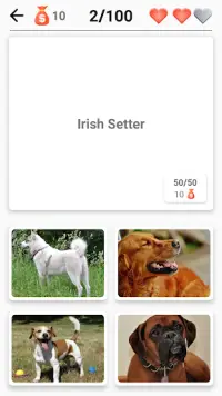 Dog Breeds - Quiz about all dogs of the world! Screen Shot 4